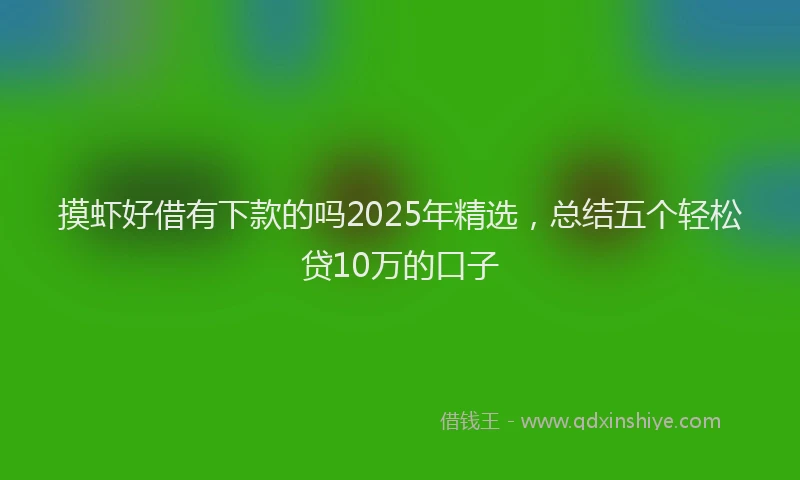 摸虾好借有下款的吗2025年精选，总结五个轻松贷10万的口子