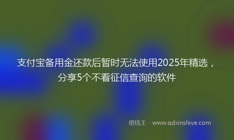 支付宝备用金还款后暂时无法使用2025年精选，分享5个不看征信查询的软件