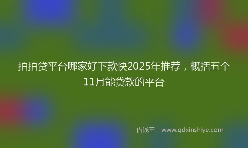 拍拍贷平台哪家好下款快2025年推荐，概括五个11月能贷款的平台