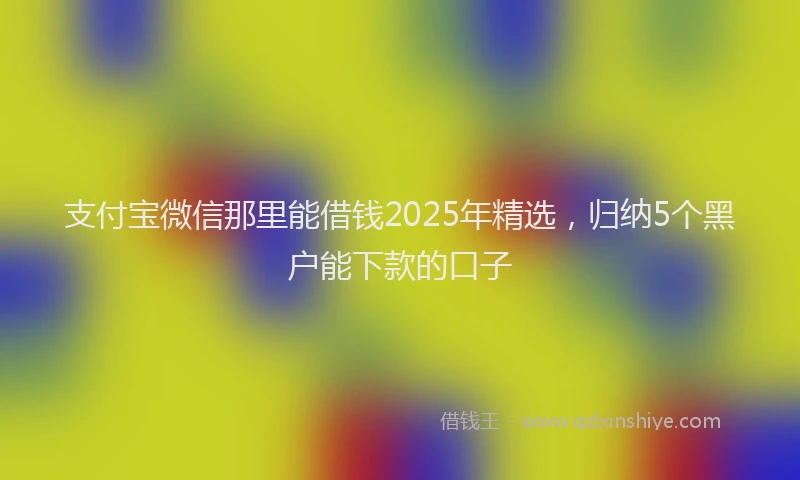 支付宝微信那里能借钱2025年精选，归纳5个黑户能下款的口子