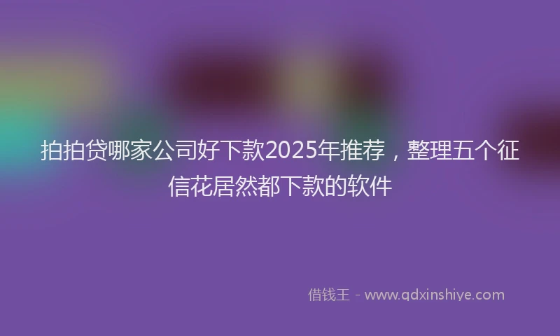拍拍贷哪家公司好下款2025年推荐，整理五个征信花居然都下款的软件