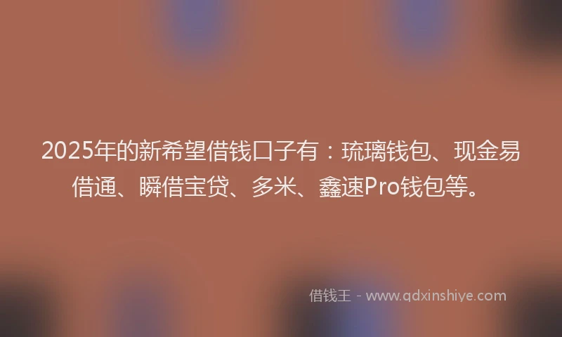 2025年的新希望借钱口子有：琉璃钱包、现金易借通、瞬借宝贷、多米、鑫速Pro钱包等。