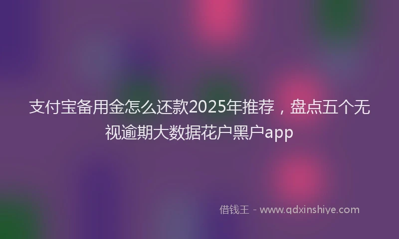 支付宝备用金怎么还款2025年推荐，盘点五个无视逾期大数据花户黑户app