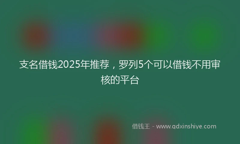 支名借钱2025年推荐，罗列5个可以借钱不用审核的平台