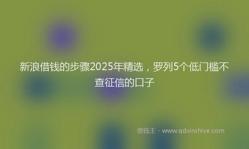 新浪借钱的步骤2025年精选，罗列5个低门槛不查征信的口子