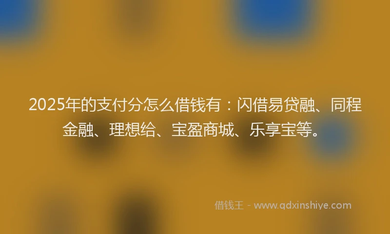 2025年的支付分怎么借钱有：闪借易贷融、同程金融、理想给、宝盈商城、乐享宝等。