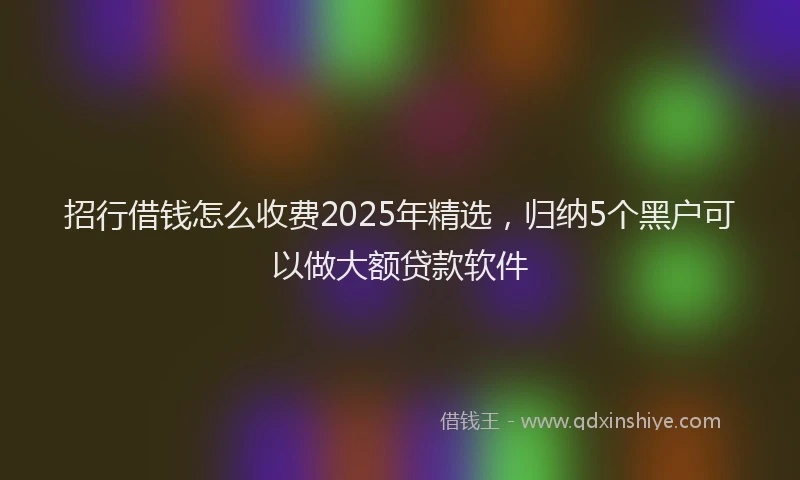 招行借钱怎么收费2025年精选，归纳5个黑户可以做大额贷款软件
