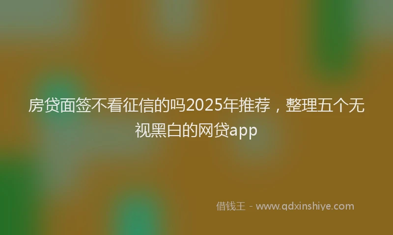 房贷面签不看征信的吗2025年推荐，整理五个无视黑白的网贷app