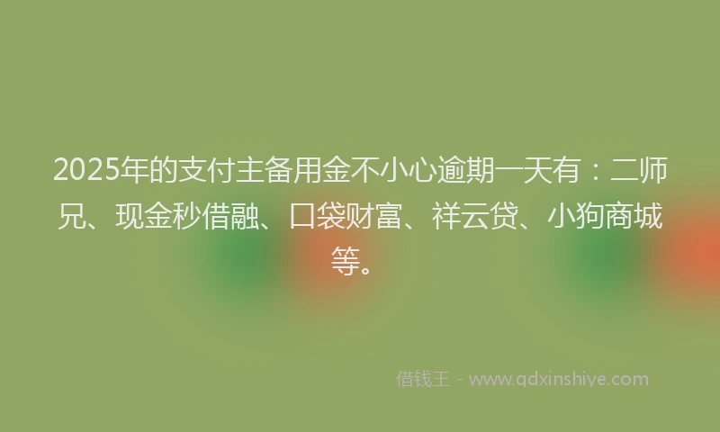 2025年的支付主备用金不小心逾期一天有：二师兄、现金秒借融、口袋财富、祥云贷、小狗商城等。
