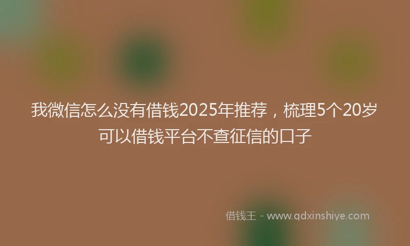 我微信怎么没有借钱2025年推荐，梳理5个20岁可以借钱平台不查征信的口子