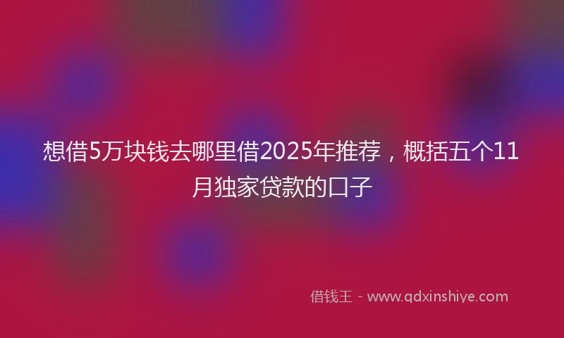 想借5万块钱去哪里借2025年推荐，概括五个11月独家贷款的口子
