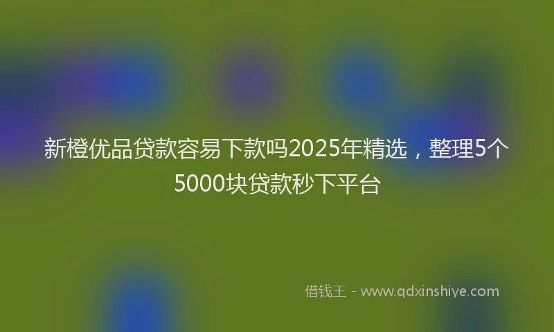 新橙优品贷款容易下款吗2025年精选，整理5个5000块贷款秒下平台