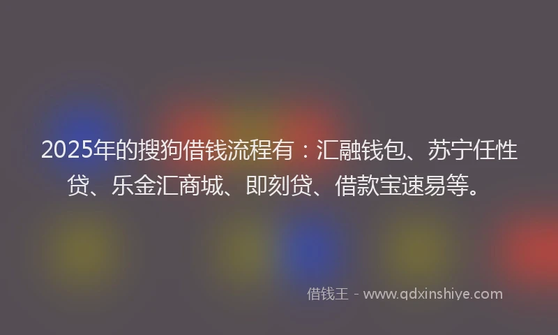 2025年的搜狗借钱流程有：汇融钱包、苏宁任性贷、乐金汇商城、即刻贷、借款宝速易等。