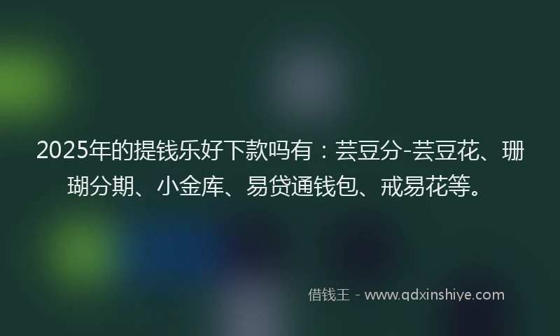 2025年的提钱乐好下款吗有：芸豆分-芸豆花、珊瑚分期、小金库、易贷通钱包、戒易花等。