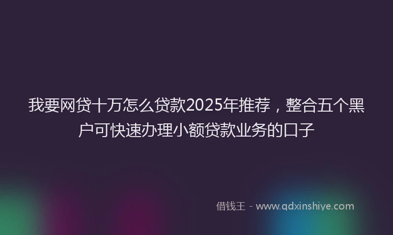 我要网贷十万怎么贷款2025年推荐，整合五个黑户可快速办理小额贷款业务的口子