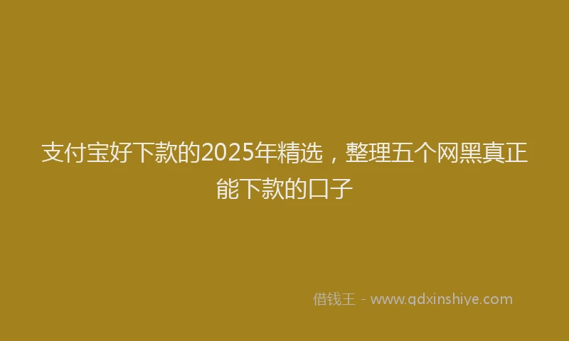 支付宝好下款的2025年精选，整理五个网黑真正能下款的口子