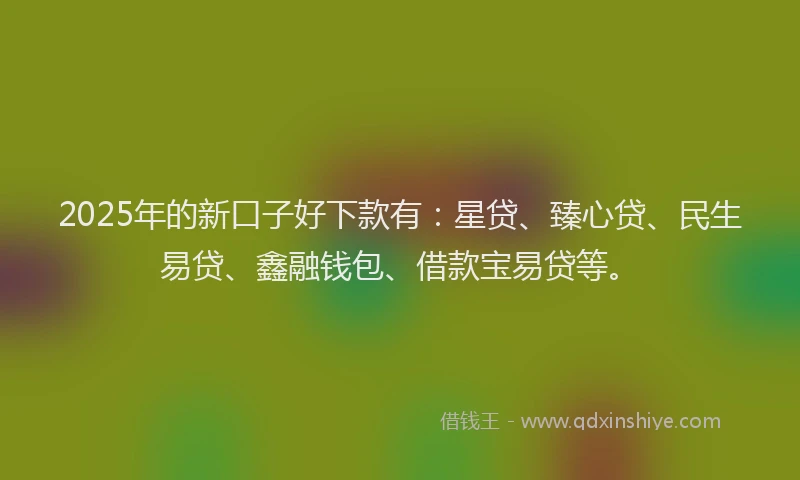 2025年的新口子好下款有：星贷、臻心贷、民生易贷、鑫融钱包、借款宝易贷等。