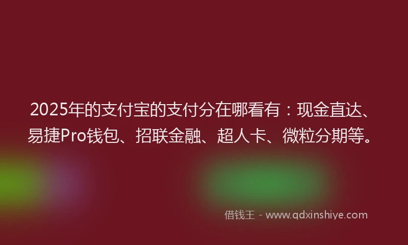 2025年的支付宝的支付分在哪看有：现金直达、易捷Pro钱包、招联金融、超人卡、微粒分期等。