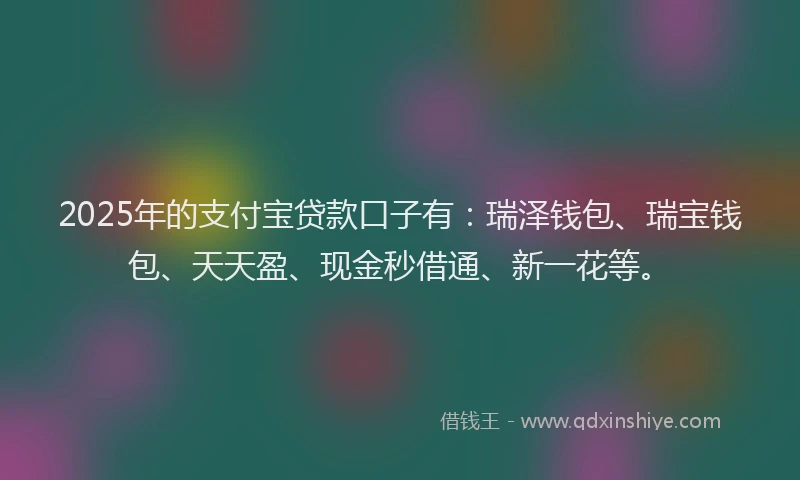 2025年的支付宝贷款口子有：瑞泽钱包、瑞宝钱包、天天盈、现金秒借通、新一花等。