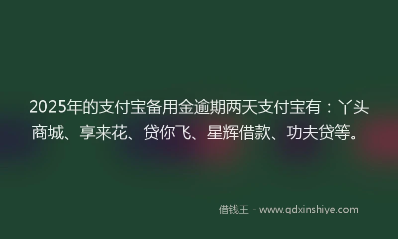 2025年的支付宝备用金逾期两天支付宝有：丫头商城、享来花、贷你飞、星辉借款、功夫贷等。