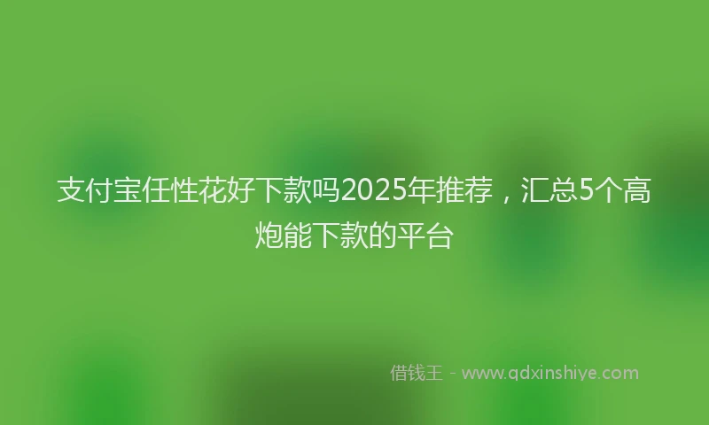 支付宝任性花好下款吗2025年推荐，汇总5个高炮能下款的平台
