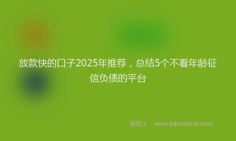 放款快的口子2025年推荐，总结5个不看年龄征信负债的平台