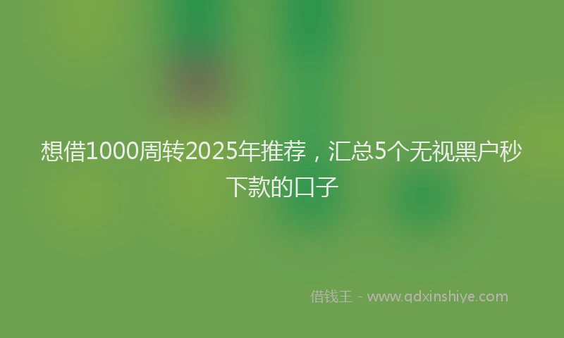 想借1000周转2025年推荐，汇总5个无视黑户秒下款的口子