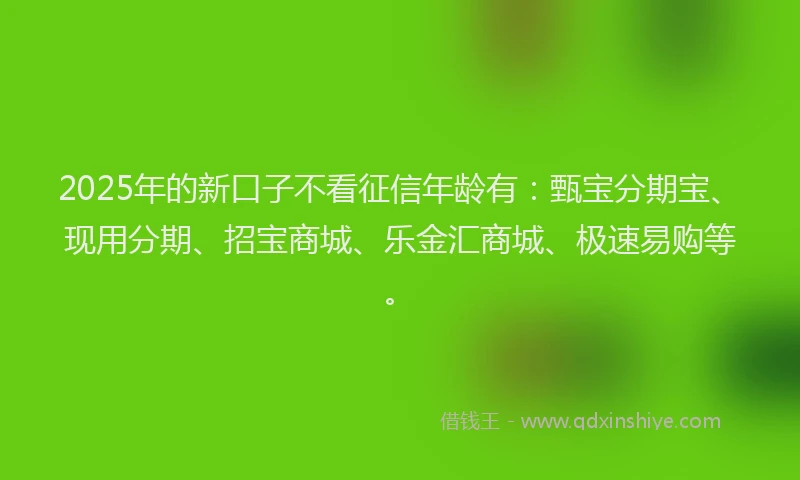 2025年的新口子不看征信年龄有：甄宝分期宝、现用分期、招宝商城、乐金汇商城、极速易购等。