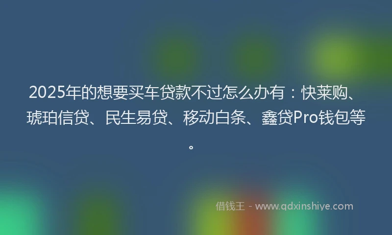 2025年的想要买车贷款不过怎么办有：快莱购、琥珀信贷、民生易贷、移动白条、鑫贷Pro钱包等。