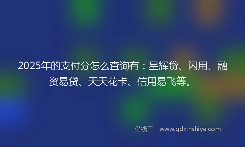 2025年的支付分怎么查询有：星辉贷、闪用、融资易贷、天天花卡、信用易飞等。
