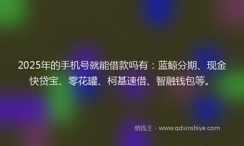 2025年的手机号就能借款吗有：蓝鲸分期、现金快贷宝、零花罐、柯基速借、智融钱包等。