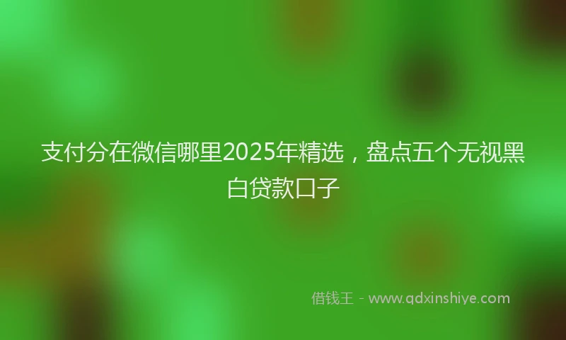 支付分在微信哪里2025年精选，盘点五个无视黑白贷款口子