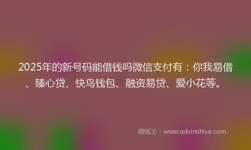 2025年的新号码能借钱吗微信支付有：你我易借、臻心贷、快鸟钱包、融资易贷、爱小花等。