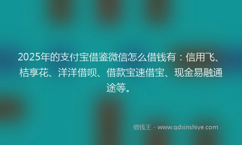 2025年的支付宝借鉴微信怎么借钱有：信用飞、桔享花、洋洋借呗、借款宝速借宝、现金易融通途等。