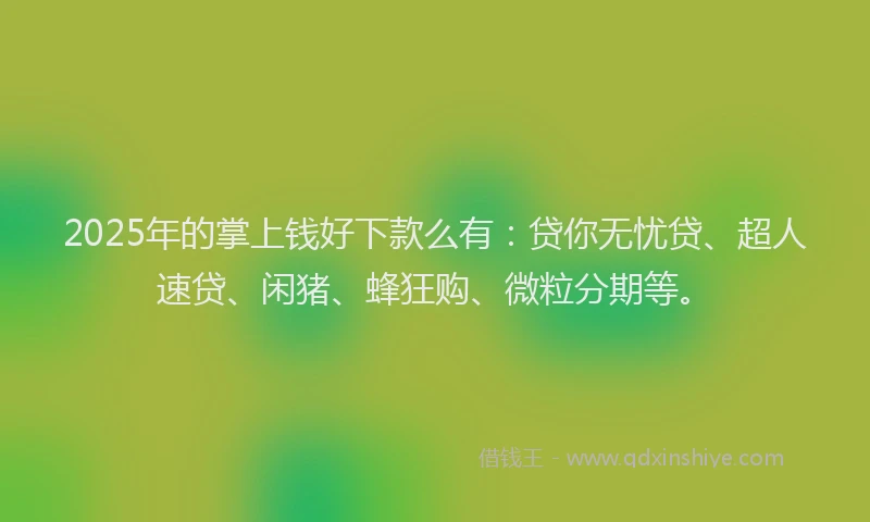 2025年的掌上钱好下款么有：贷你无忧贷、超人速贷、闲猪、蜂狂购、微粒分期等。