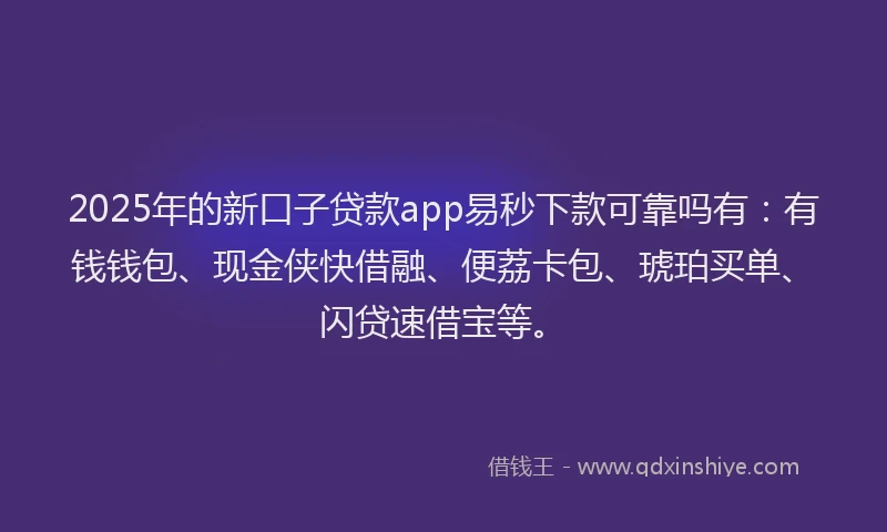 2025年的新口子贷款app易秒下款可靠吗有：有钱钱包、现金侠快借融、便荔卡包、琥珀买单、闪贷速借宝等。