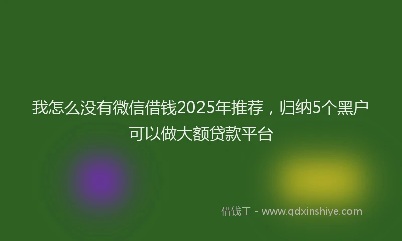 我怎么没有微信借钱2025年推荐，归纳5个黑户可以做大额贷款平台