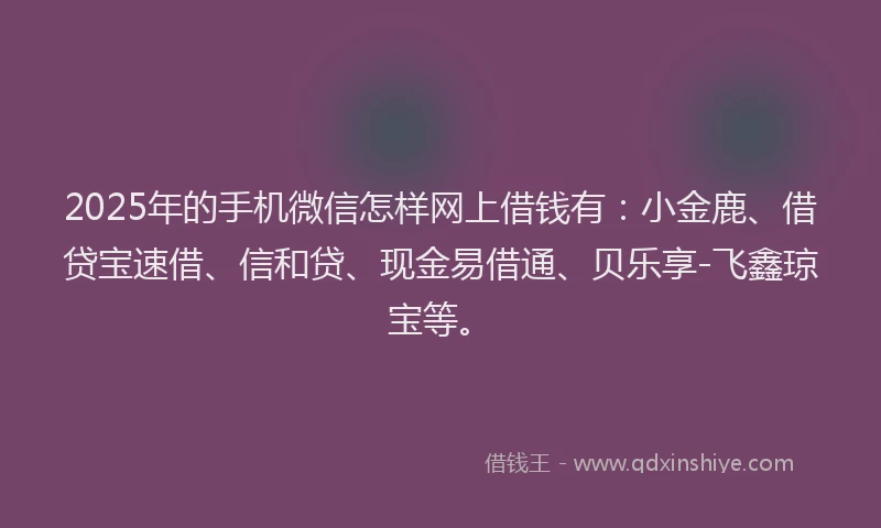 2025年的手机微信怎样网上借钱有：小金鹿、借贷宝速借、信和贷、现金易借通、贝乐享-飞鑫琼宝等。