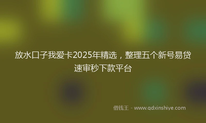 放水口子我爱卡2025年精选，整理五个新号易贷速审秒下款平台