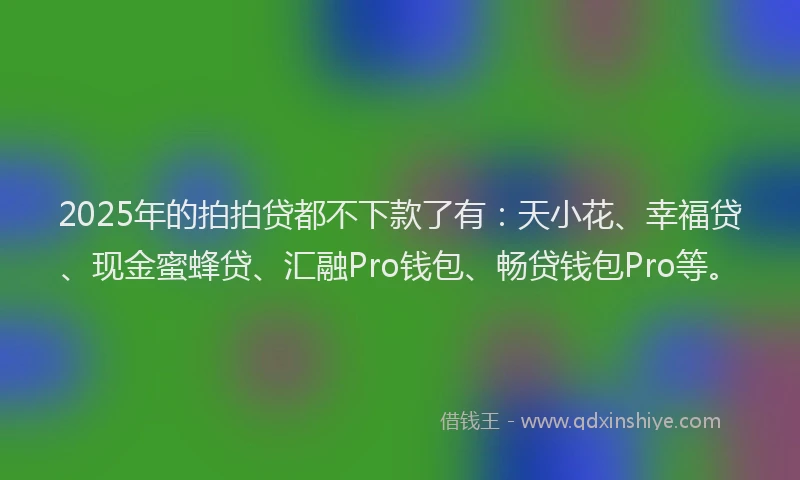 2025年的拍拍贷都不下款了有：天小花、幸福贷、现金蜜蜂贷、汇融Pro钱包、畅贷钱包Pro等。