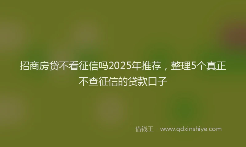 招商房贷不看征信吗2025年推荐，整理5个真正不查征信的贷款口子