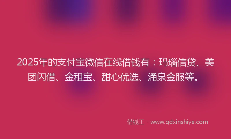 2025年的支付宝微信在线借钱有：玛瑙信贷、美团闪借、金租宝、甜心优选、涌泉金服等。