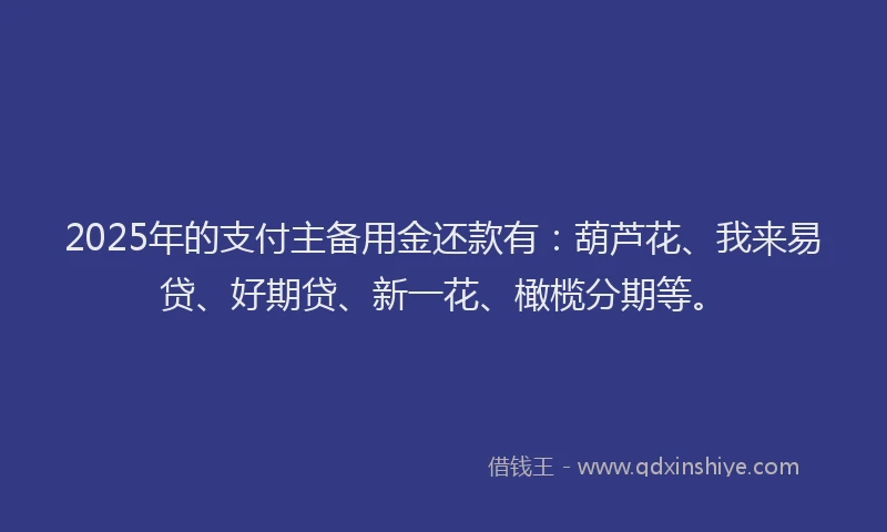 2025年的支付主备用金还款有：葫芦花、我来易贷、好期贷、新一花、橄榄分期等。