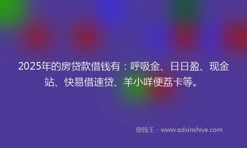 2025年的房贷款借钱有：呼吸金、日日盈、现金站、快易借速贷、羊小咩便荔卡等。