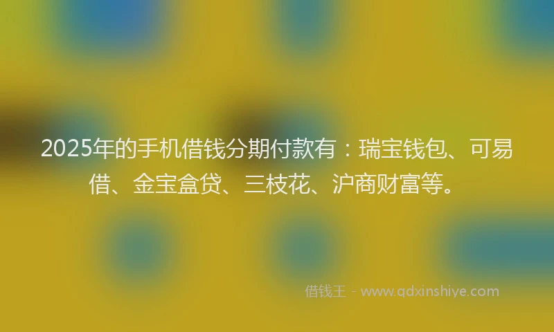 2025年的手机借钱分期付款有：瑞宝钱包、可易借、金宝盒贷、三枝花、沪商财富等。