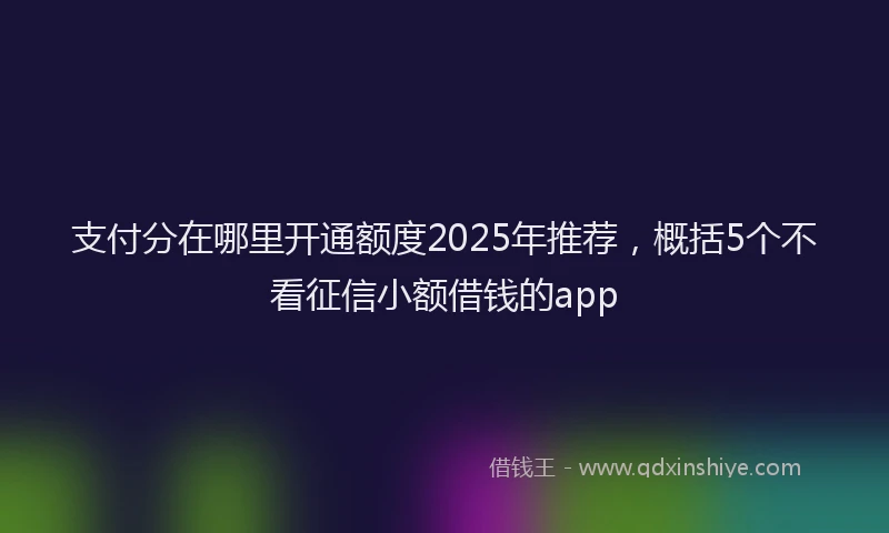 支付分在哪里开通额度2025年推荐，概括5个不看征信小额借钱的app