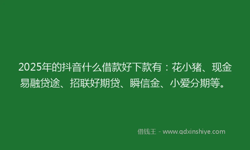 2025年的抖音什么借款好下款有：花小猪、现金易融贷途、招联好期贷、瞬信金、小爱分期等。