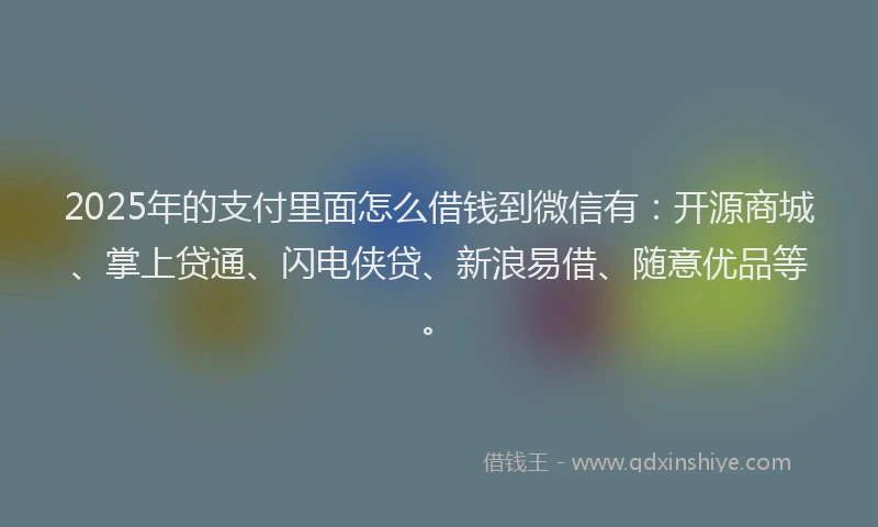 2025年的支付里面怎么借钱到微信有：开源商城、掌上贷通、闪电侠贷、新浪易借、随意优品等。
