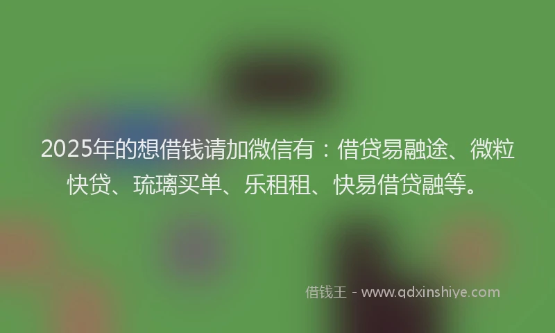 2025年的想借钱请加微信有：借贷易融途、微粒快贷、琉璃买单、乐租租、快易借贷融等。