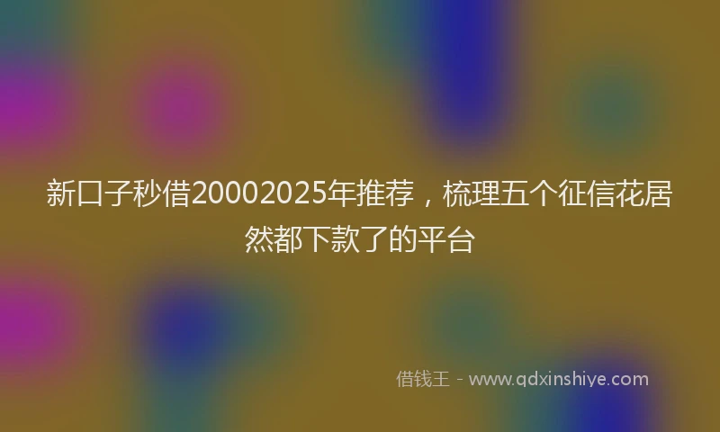 新口子秒借20002025年推荐，梳理五个征信花居然都下款了的平台